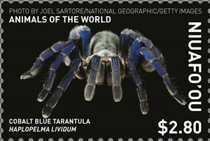 Stamp, Cobalt Blue Tarantula, Niuafo'ou,  , Animals (Fauna), Spiders