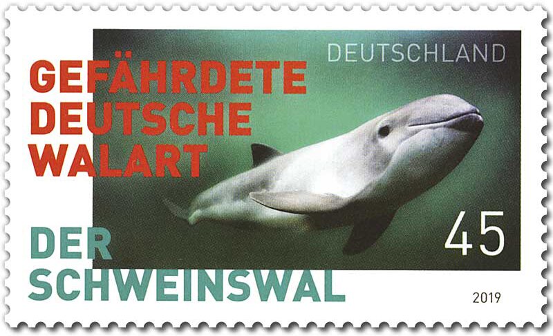 Porpoise