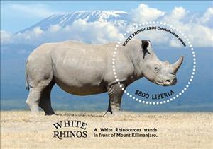 Souvenir Sheet, White Rhinoceros, Liberia,  , Animals (Fauna), Mammals, Rhinoceroses