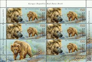 Mini Sheet, Himalayan brown bear (Ursus arctos isabellinus), Kyrgyzstan,  , Animals (Fauna), Bears, Mammals