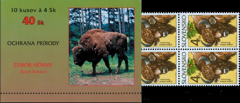 Animals European Bison (Bison bonasus)