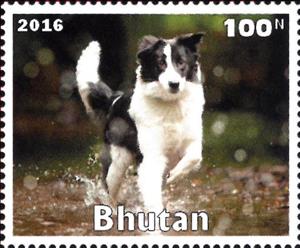 Stamp, Dog, Cinderellas,  , Animals (Fauna), Dogs, Mammals