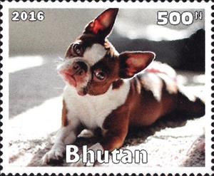 Stamp, Dog, Cinderellas,  , Animals (Fauna), Dogs, Mammals