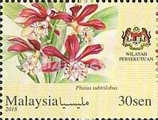 Orchids of Malaysia