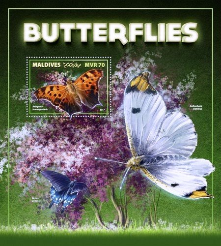 Polygonia interrogationis