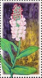 Stamp, Platanthera psycodes, Canada,  , Conferences, Flowers, Orchids, Plants (Flora)