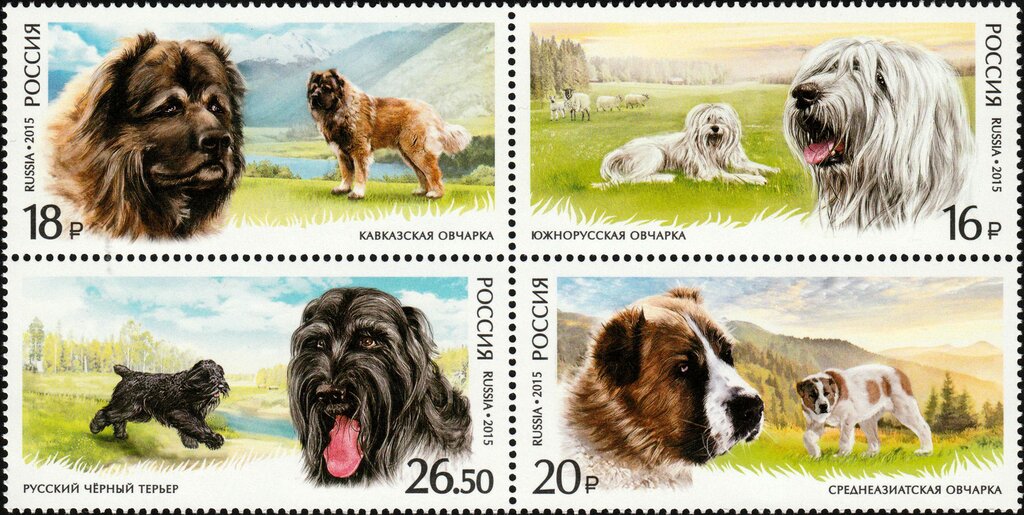 Fauna of Russia. Service dog breeds