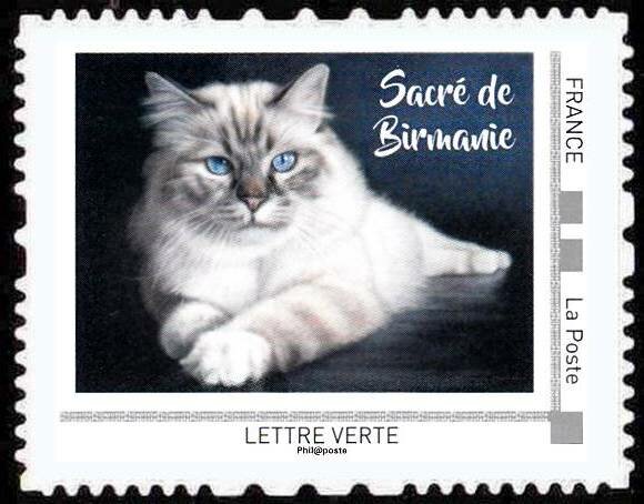 Sacre de Birmanie