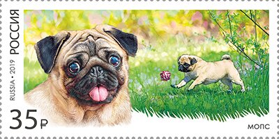 Stamp, Dog Breeds, Russia,  , Animals (Fauna), Dogs, Mammals