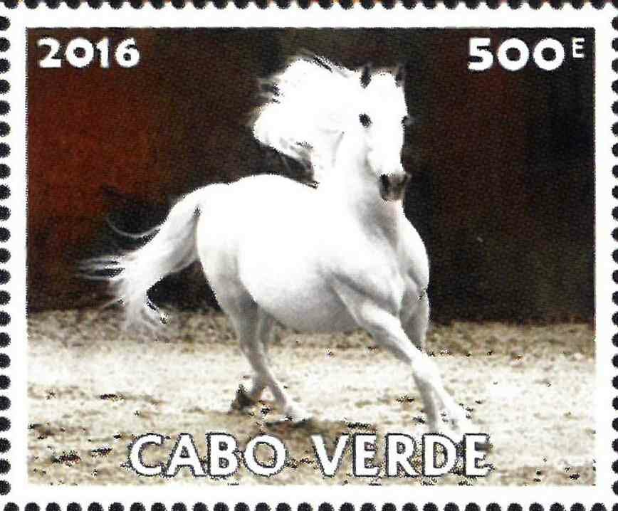 Horses