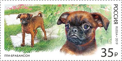 Dog Breeds
