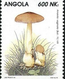 Stamp, Mushrooms, Angola,  , Mushrooms