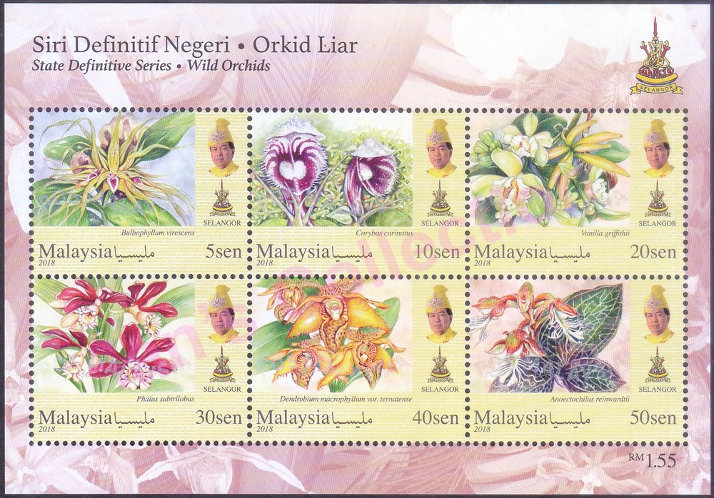 Orchids of Malaysia