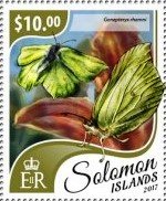 Stamp, Gonepteryx rhamni, Solomon Islands,  , Animals (Fauna), Butterflies, Insects