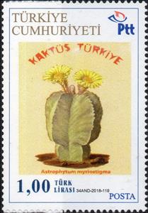 Stamp, Cacti, Personalized and Private Mail Stamps,  , Cacti, Plants (Flora)