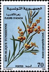 Stamp, Flowers of Acacia, Tunisia,  , Flowers, Plants (Flora)