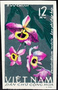 Stamp, Dendrobium nobile, Vietnam,  , Flowers, Orchids, Plants (Flora)