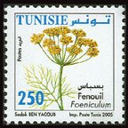 Fennel