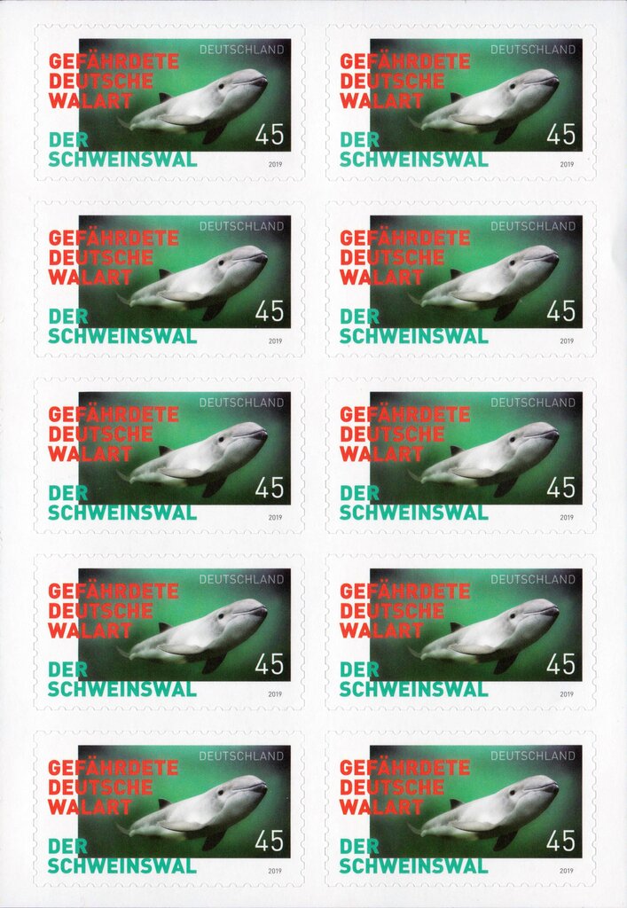 Endangered animals in Germany, porpoise