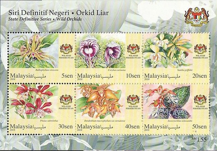 Orchids of Malaysia