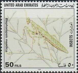 Stamp, Blepharopsis mendica., United Arab Emirates,  , Animals (Fauna), Insects