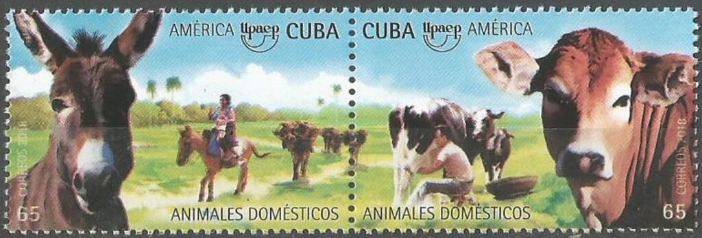 UPAEP - Domestic Animals