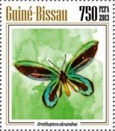 Ornithoptera alexandrae