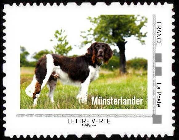 Munsterlander