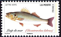 Stamp, Atlantic Wolffish, France,  , Animals (Fauna), Fishes, Sea Life