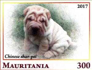 Stamp, Chinese shar-pei, Cinderellas,  , Animals (Fauna), Dogs, Mammals