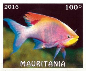 Stamp, Tropical fish, Cinderellas,  , Animals (Fauna), Fishes