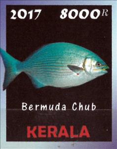 Stamp, Bermuda Chub, Cinderellas,  , Animals (Fauna), Fishes