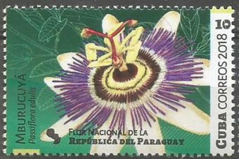 Paraguay
