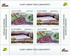 Mini Sheet, Protected Wildlife, Northern Cyprus,  , Animals (Fauna), Lizards, Reptiles, Turtles
