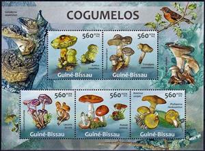 Mini Sheet, Various Mushrooms, Guinea-Bissau,  , Mushrooms