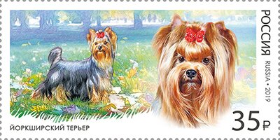 Stamp, Dog Breeds, Russia,  , Animals (Fauna), Dogs, Mammals
