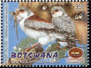 Stamp, Pygmy Falcon (Polihierax semitorquatus), Botswana,  , Animals (Fauna), Birds, Birds of Prey, Falcons, Joint Issues