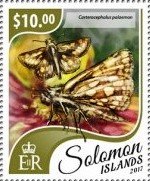 Stamp, Carterocephalus palaemon, Solomon Islands,  , Animals (Fauna), Butterflies, Insects