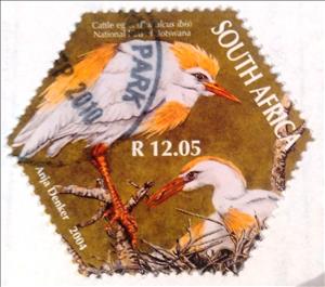 Stamp, Cattle egret - (Bubulcus ibis), South Africa,  , Animals (Fauna), Birds, Herons