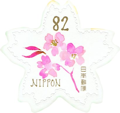 Cherry Blossoms