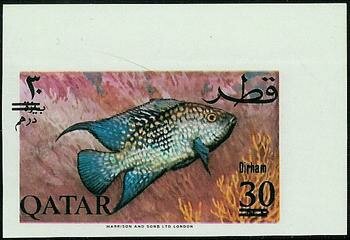 Stamp, Texas Cichlid (Cichlasoma cyanoguttatum), Qatar,  , Animals (Fauna), Fishes, Sea Life