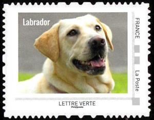 Stamp, Labrador, France,  , Animals (Fauna), Dogs