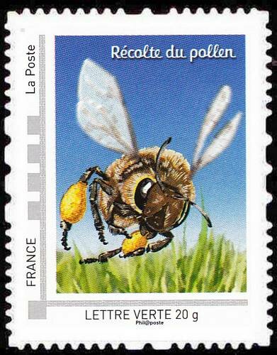 The bees that's life Recolte du Pollen