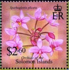 Stamp, Spathoglottis plicata, Solomon Islands,  , Flowers, Orchids, Plants (Flora)