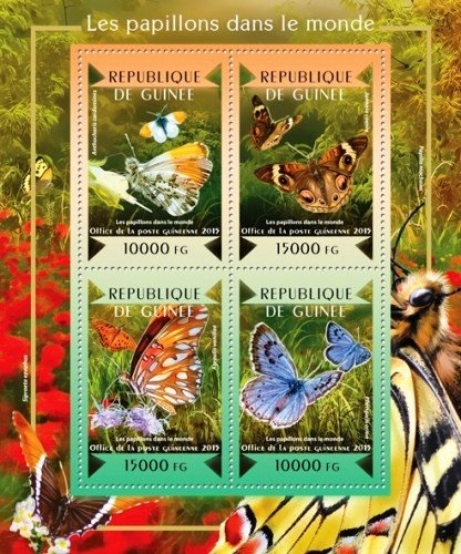 Butterflies of the world