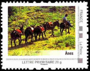 Stamp, Anes, France,  , Animals (Fauna), Donkeys