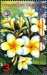 Politics & Government Flora (Flowers - General)