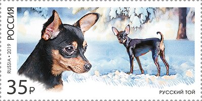 Stamp, Dog Breeds, Russia,  , Animals (Fauna), Dogs, Mammals
