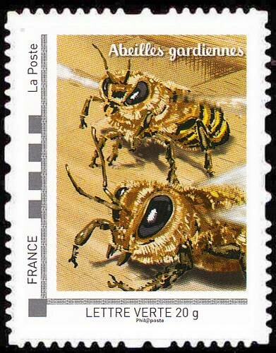 The bees that's life Abeilles Gardiennes