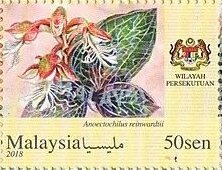 Orchids of Malaysia